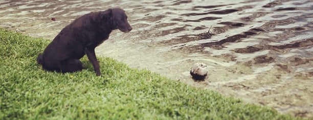 Monarch Lakes is one of Lugares favoritos de Albert.