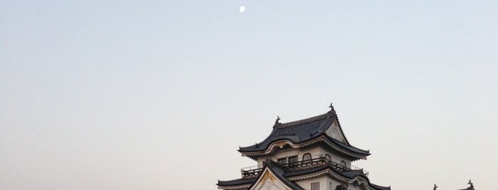Kishiwada Castle is one of 日本の夕陽百選.