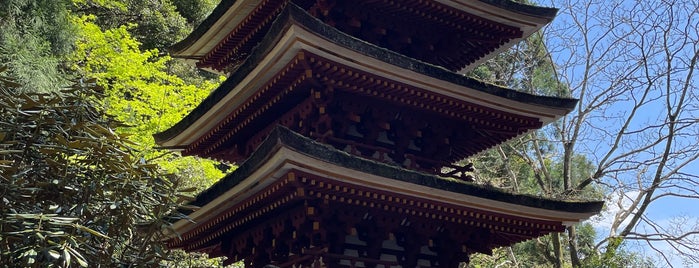 室生寺 五重塔 is one of was_temple.