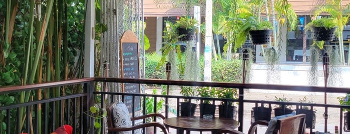 Coffee Lovers is one of Chiang Mai Cafes.