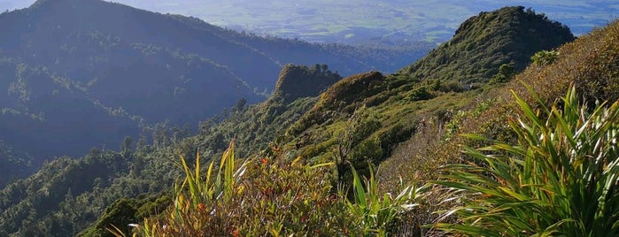 Mt Pirongia is one of Nový Zéland.