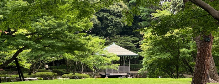 Otaguro Park is one of Major Mayor 3.
