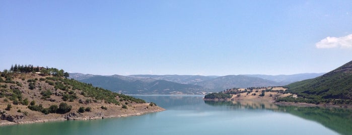 Almus Baraj Gölü is one of Tempat yang Disukai Cansu.