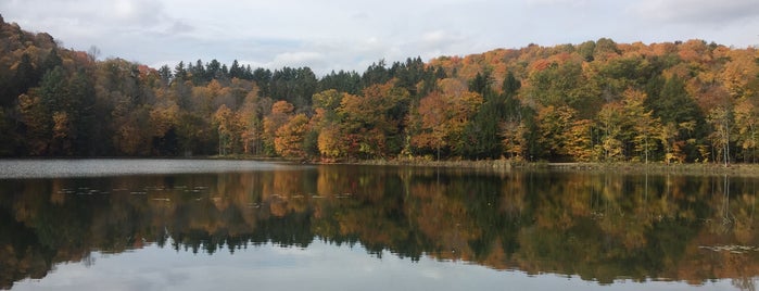 Marsh Billings Rockefeller National Historical Park is one of Orte, die Jon gefallen.