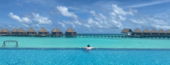 Mercure Maldives Kooddoo Resort is one of Hotels.
