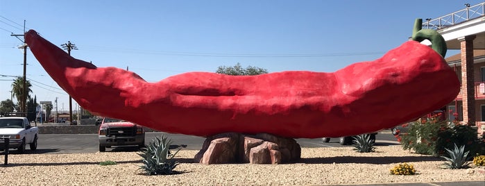 World's Largest Chile is one of NEW MEXICO.