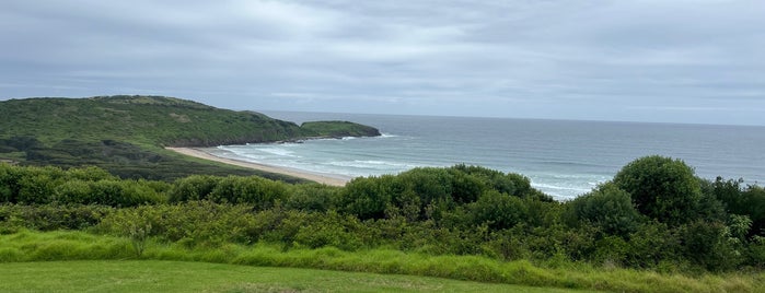 Killalea Beach (The Farm) is one of 🚁 NSW Southern Highlands & South 🗺.