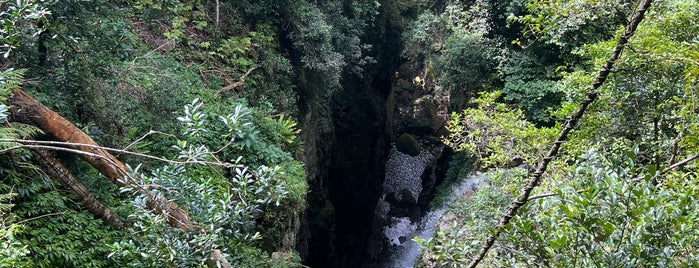 Minnamurra Falls is one of Corrimal.
