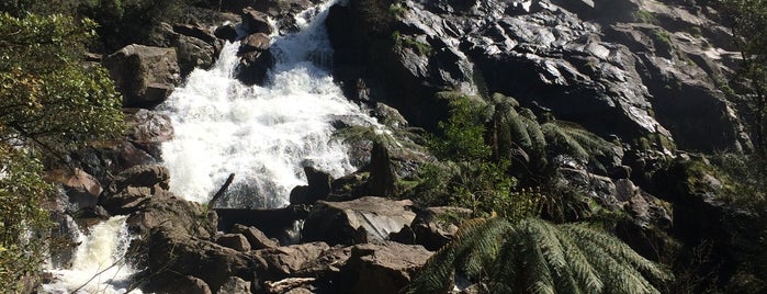 St Columba Falls is one of Australien.