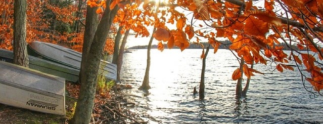 Cranberry Lake Preserve is one of westchester.