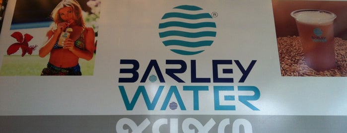 Barley Water is one of Must-visit Food in Ahmedabad.