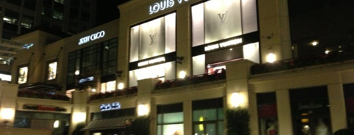 Louis Vuitton is one of Locais curtidos por Frank.