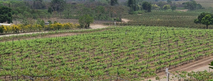 Monsoon Valley Vineyard is one of Thailand 2019.