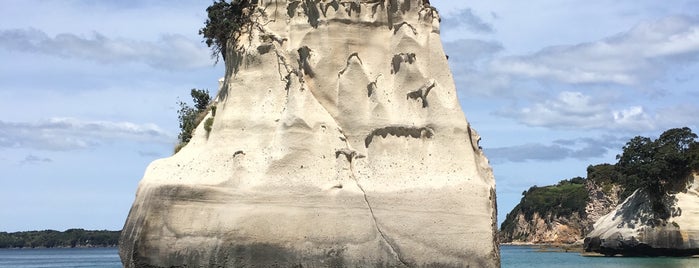 Cathedral Cove (Te Whanganui-A-Hei) is one of Nuova Zelanda.