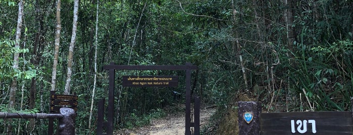 Dragon Crest Mountain is one of Krabi.