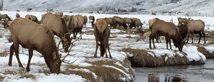 National Elk Refuge is one of Whitneyさんのお気に入りスポット.