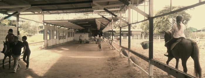 โรงเรียนสอนขี่ม้าปิยชาติ is one of Minburi & hathairad.