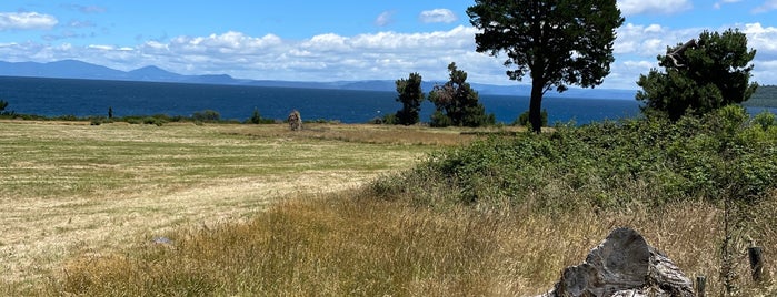 Scenic Lookout is one of New Zealand.