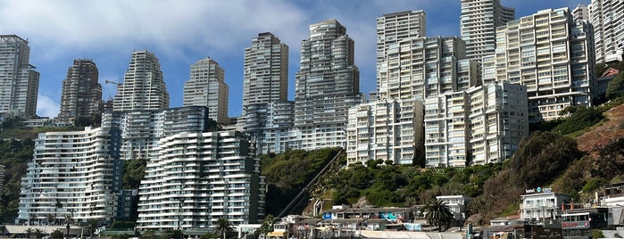 Playa Cochoa is one of Viña Del Mar.