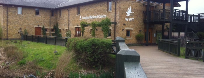 London Wetland Centre is one of London.