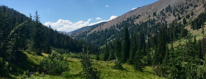 Sawtooth National Forest is one of National Recreation Areas.