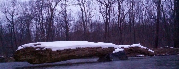 Metroparks Rocky River Reservation North is one of Joeさんのお気に入りスポット.