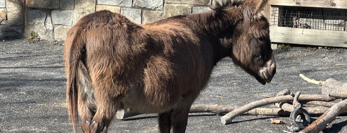 Kids' Farm Exhibit is one of The 15 Best Zoos in Washington.