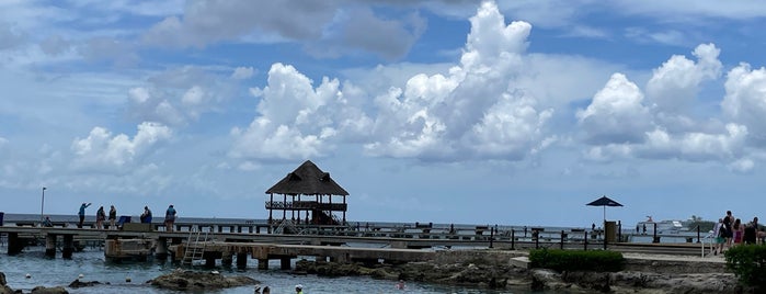 Laguna Chankanab is one of Por hacer en cancun.