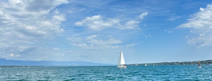 Swiss Boat Tourist Cruises is one of Explore Geneva in One Day.