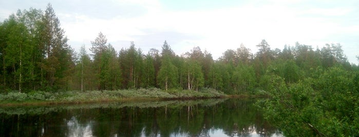 Шуя is one of Реки России.