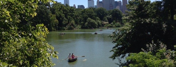 Central Park is one of NYC To do with Wali.