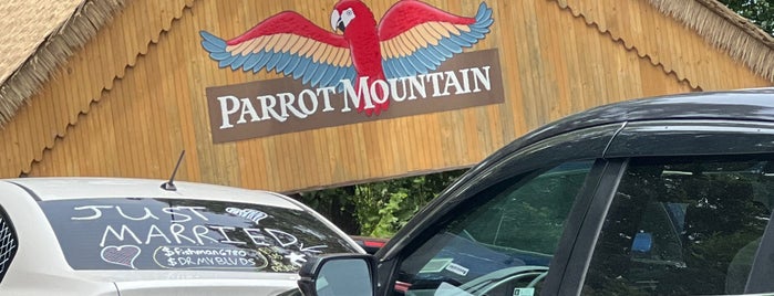 Parrot Mountain & Gardens is one of Sites to see.