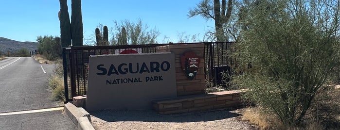 Saguaro National Park is one of Tucson Outdoors.