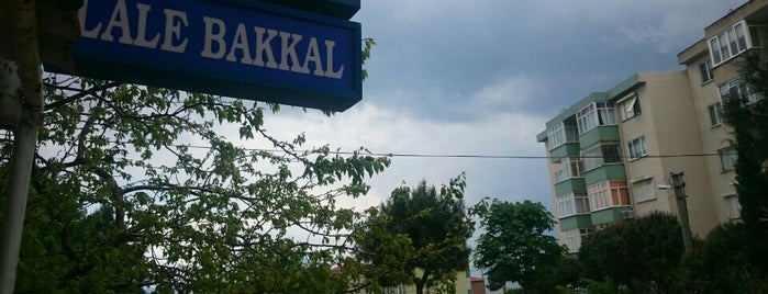 Lale Bakkal is one of Posti che sono piaciuti a Erdem.