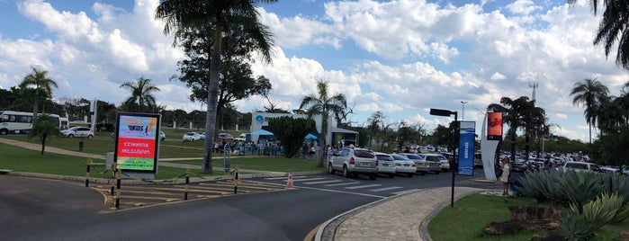 Stonia is one of Brasília.