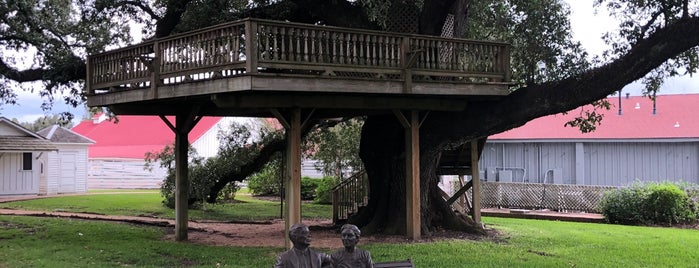 George Ranch Historical Park is one of Houston Area Family Fun.