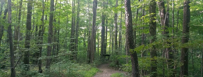 Whitlam Woods is one of Geauga Park District.