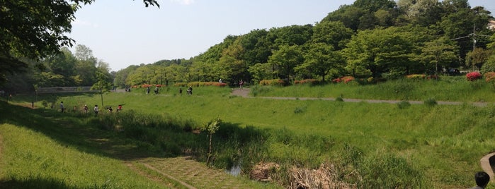Musashino Park is one of Tempat yang Disukai ジャック.