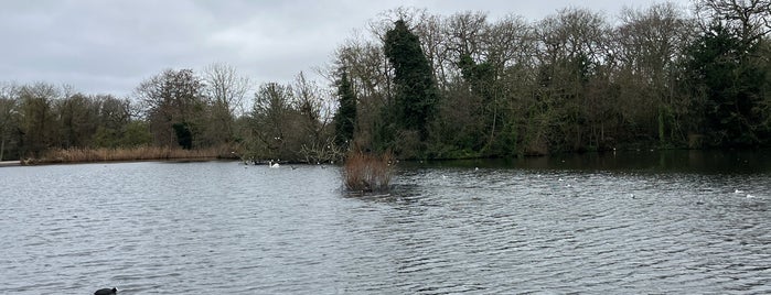 Highams Park Lake is one of London saved places.