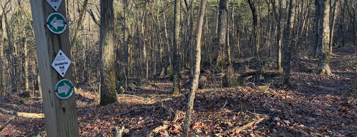 Smokerise Trail is one of Dog Park.