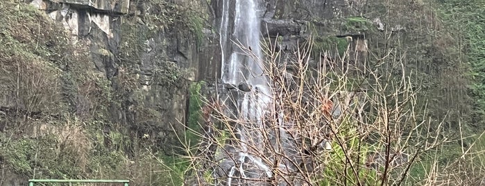 Eskitoğlu Alabalık Çiftliği is one of Rize, Turkey.