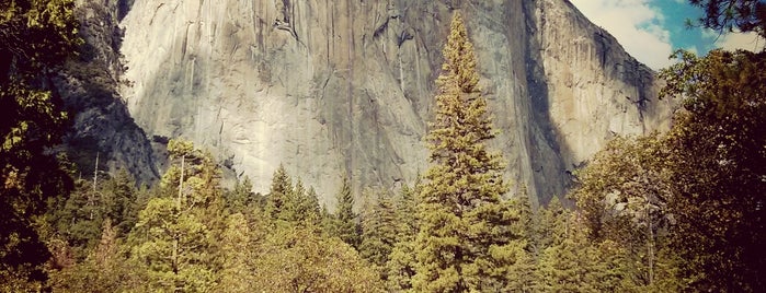 Yosemite National Park is one of USA Trip 2013.