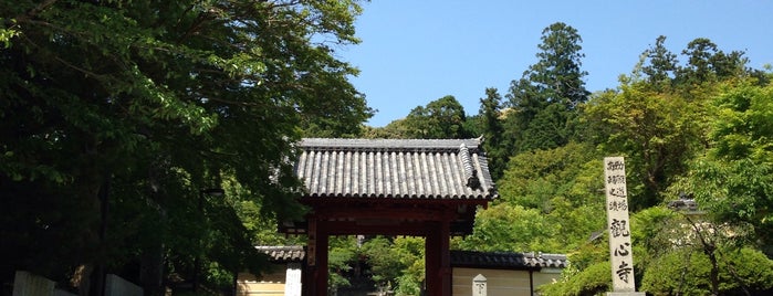 観心寺 is one of 天誅組.