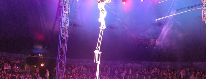 Big Apple Circus is one of New York.