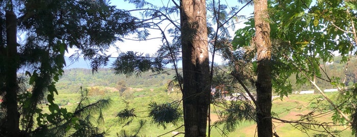 Reserva La Cofradía is one of Colima.