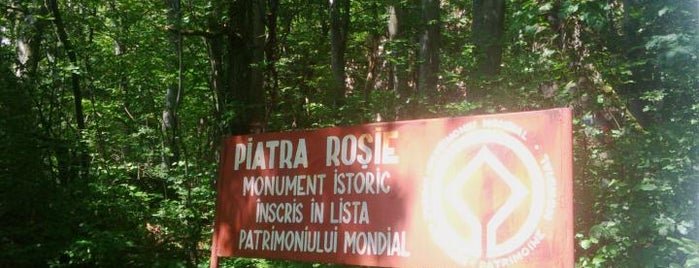 Cetatea Dacică Piatra Roșie is one of UNESCO World Heritage Sites in Eastern Europe.