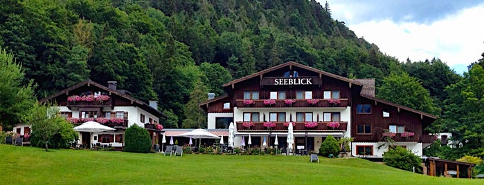 Hotel Seeblick is one of Hotels.