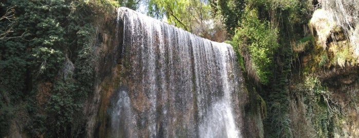 Parque Natural del Monasterio de Piedra is one of Tempat yang Disukai Roberto.