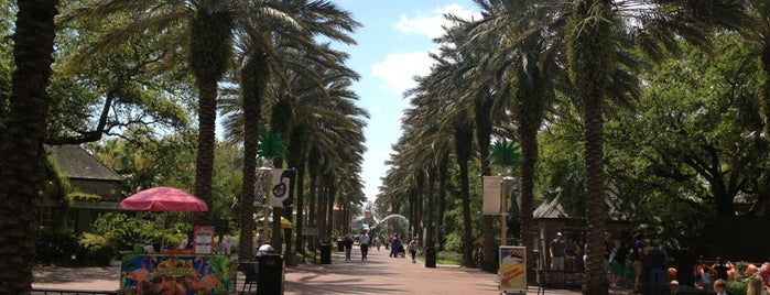 Audubon Zoo is one of New Orleans.