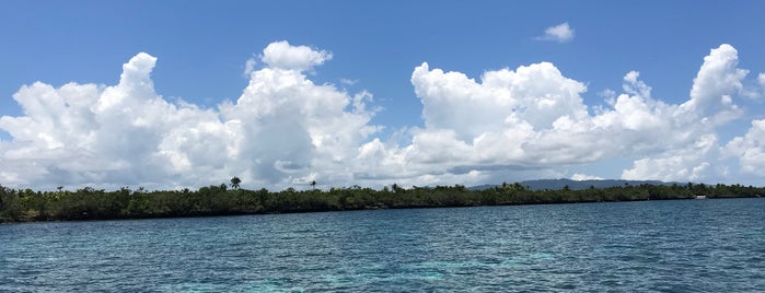 Polaris Beach Resort is one of Cebu Philippines.